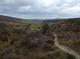 Path through hills on Dartmoor