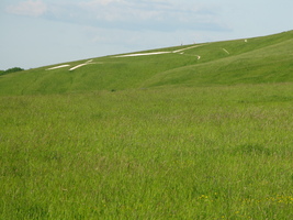 White Horse Hill