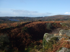 Dartmoor