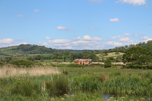 Seaton Tramway